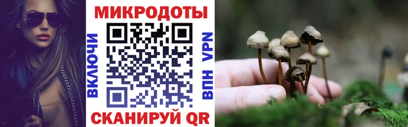 Псилоцибиновые грибы мицелий  Нижний Новгород 